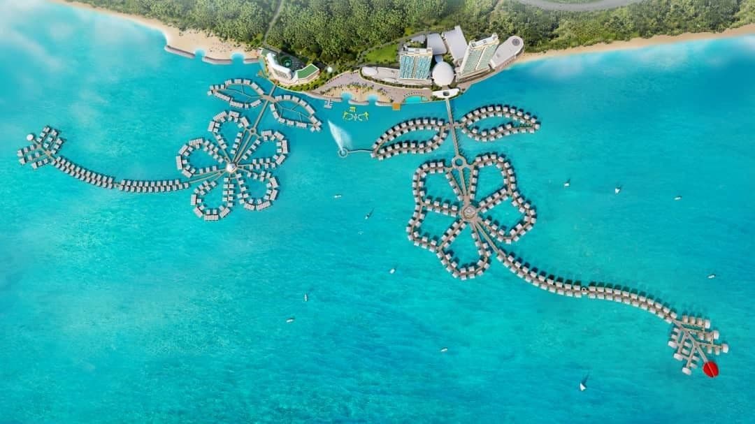 LEXIS HIBISCUS 2の外観